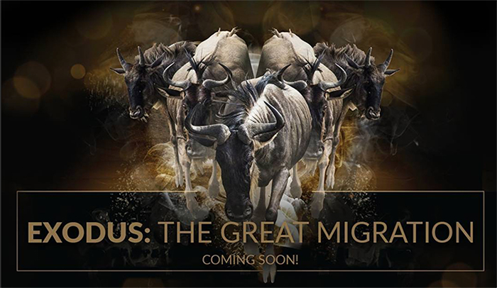 Exodus: The Great Migration in VR